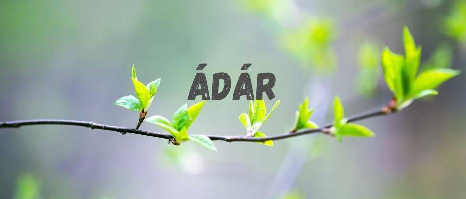 Nem azonnali öröm – Mit tanít a Zohár ádár hónapjáról?